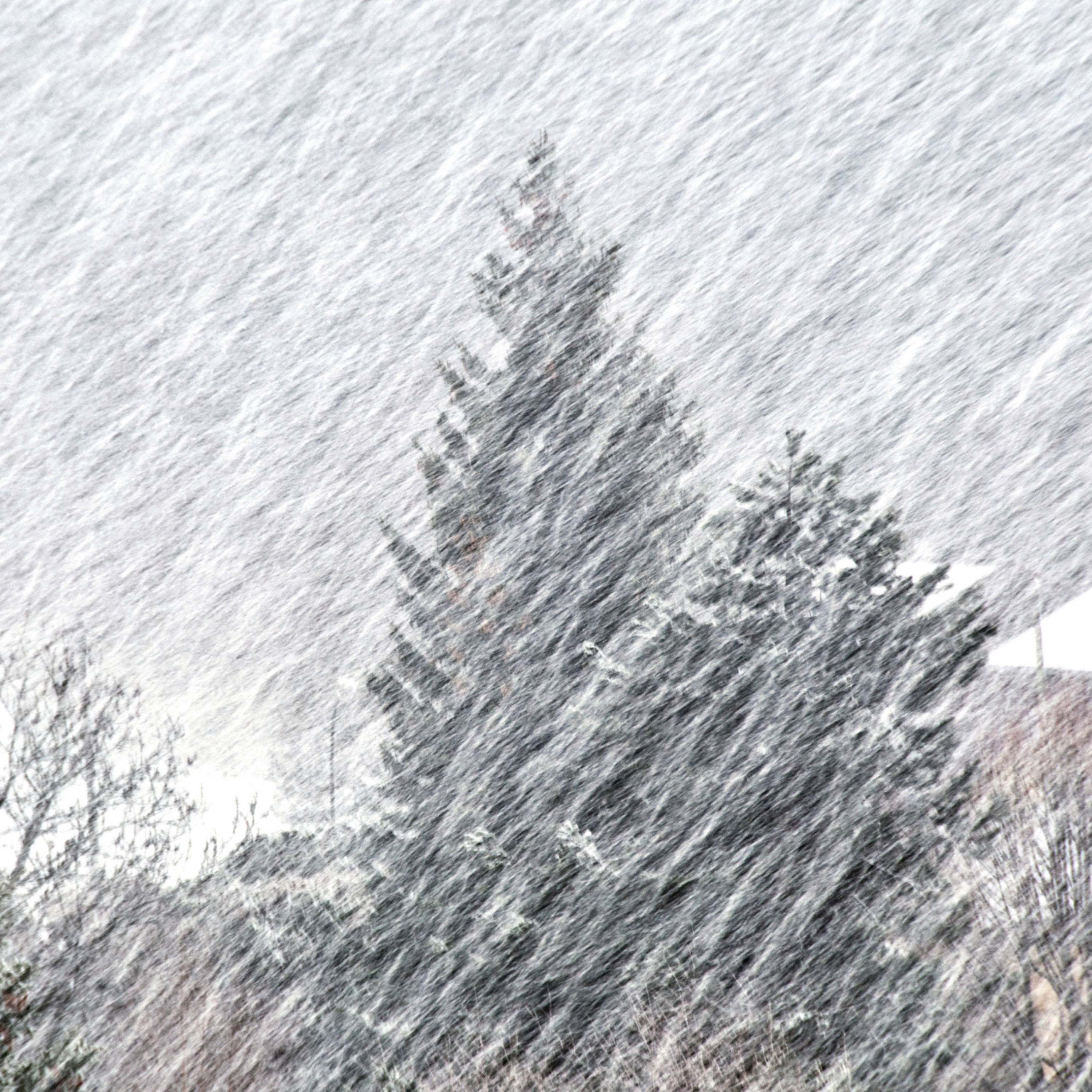 cover of episode Snow Blizzard White Noise