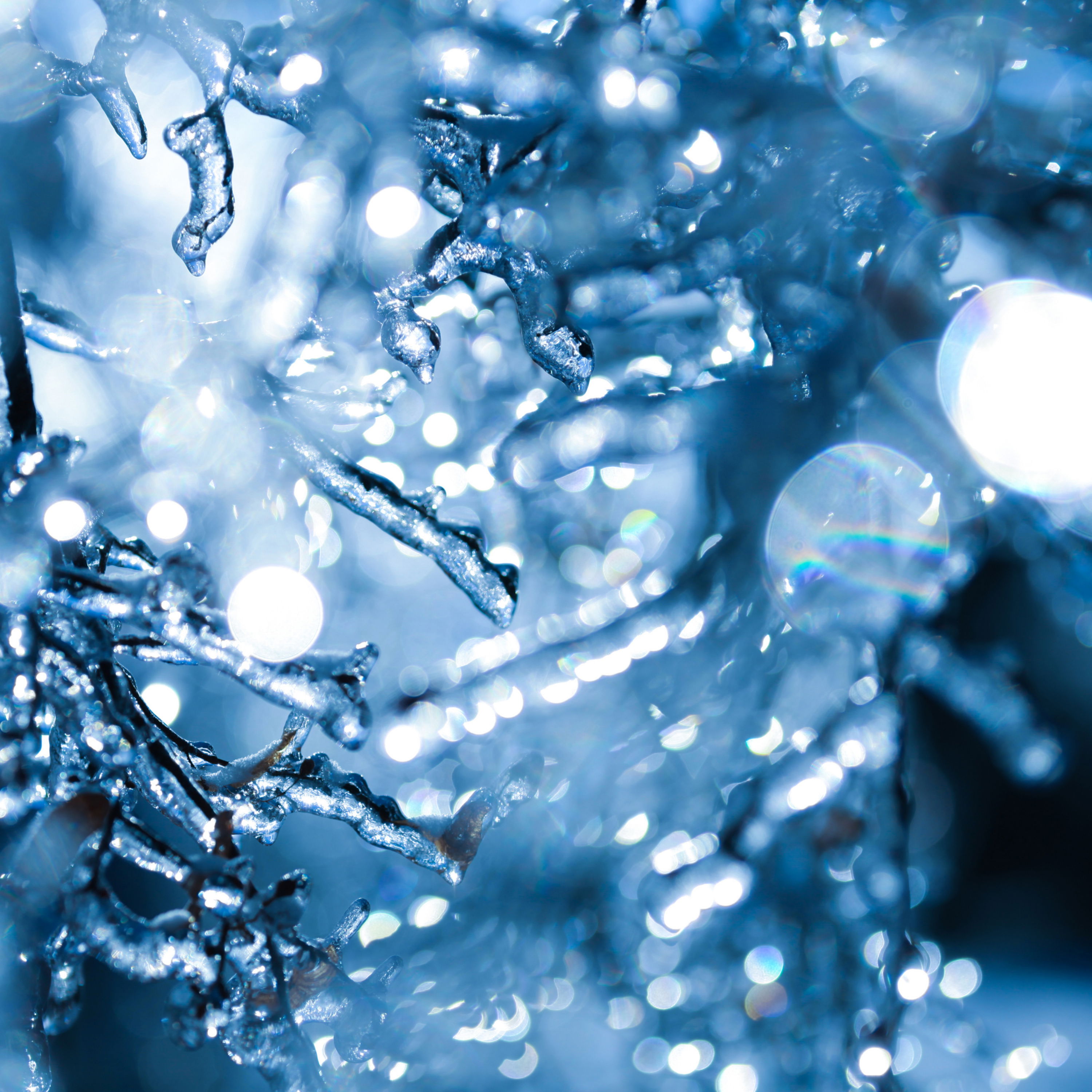 cover of episode Freezing Rain Against the Window