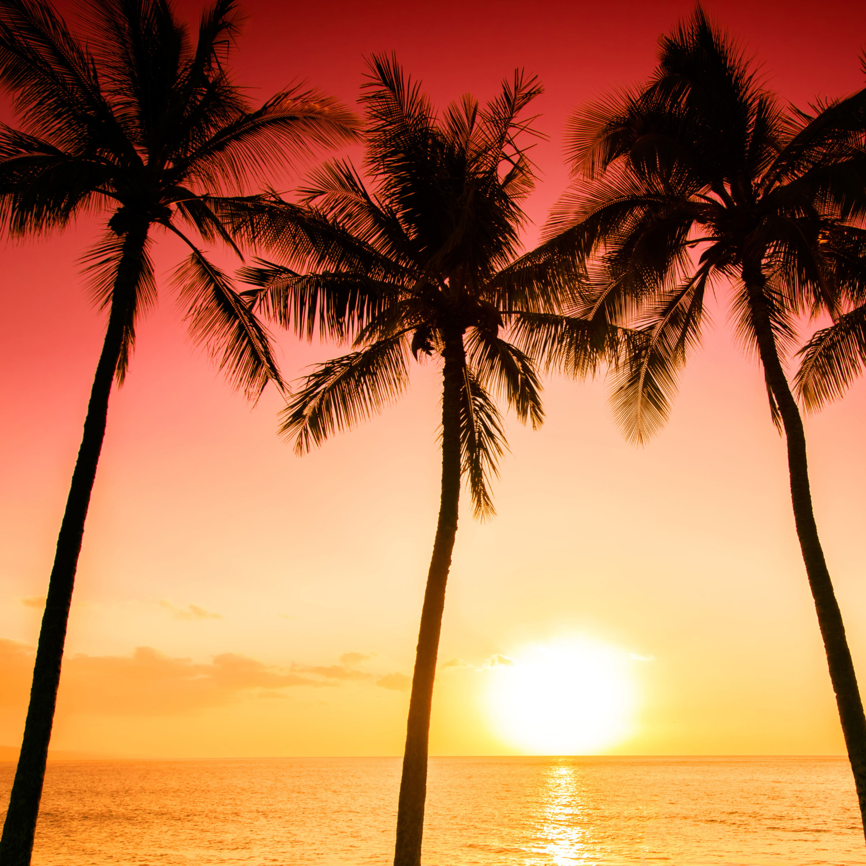 cover of episode Total Relaxation: Sleep Music and Ocean Waves