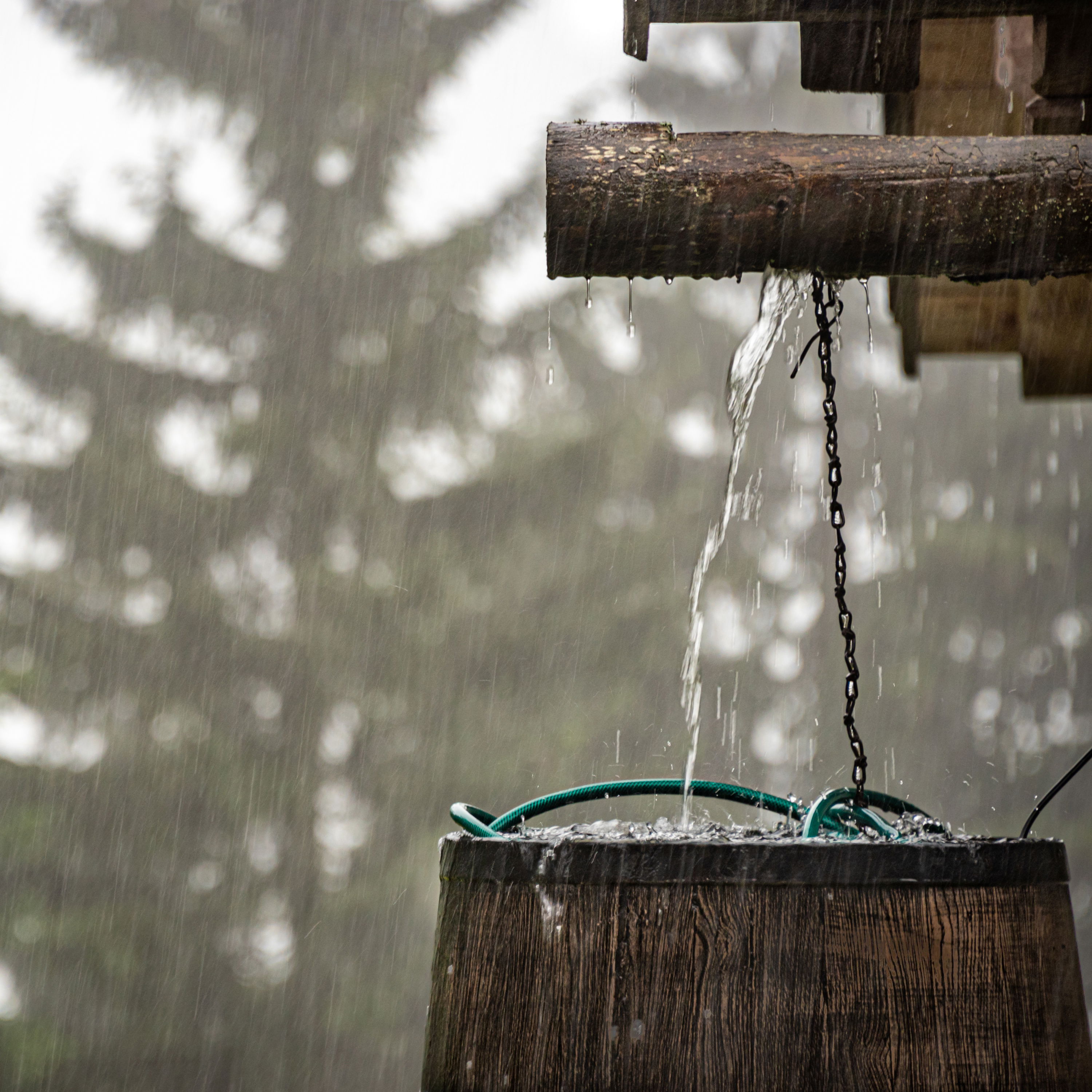 cover of episode Rain on the Barn: Relaxing sleep sounds