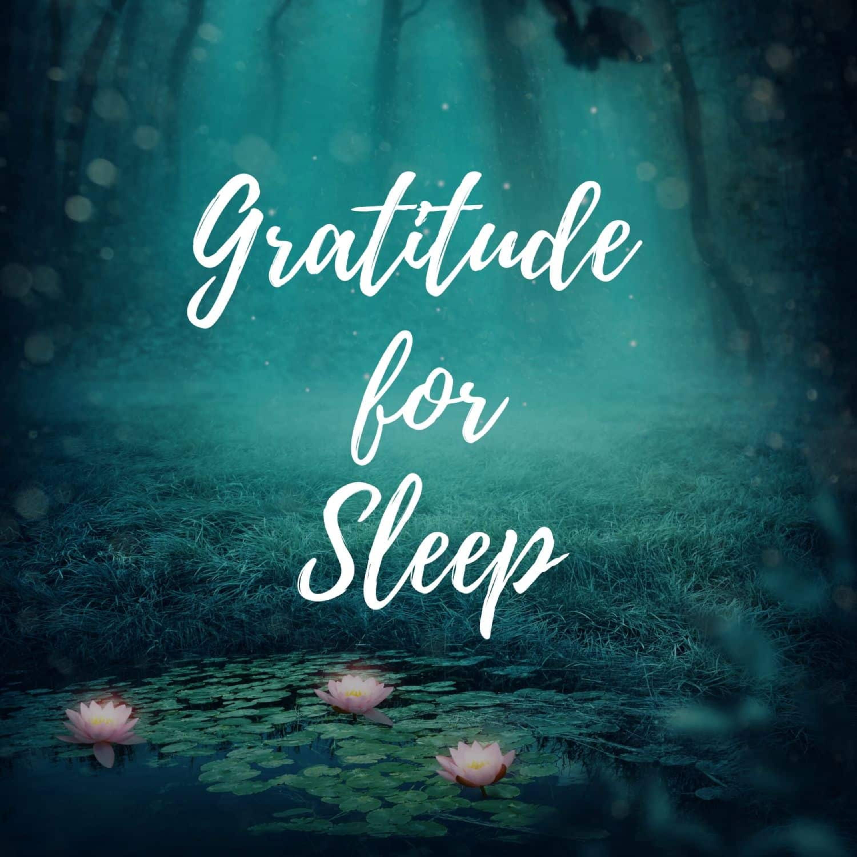 cover of episode Sleep Meditation: Gratitude for Sleep