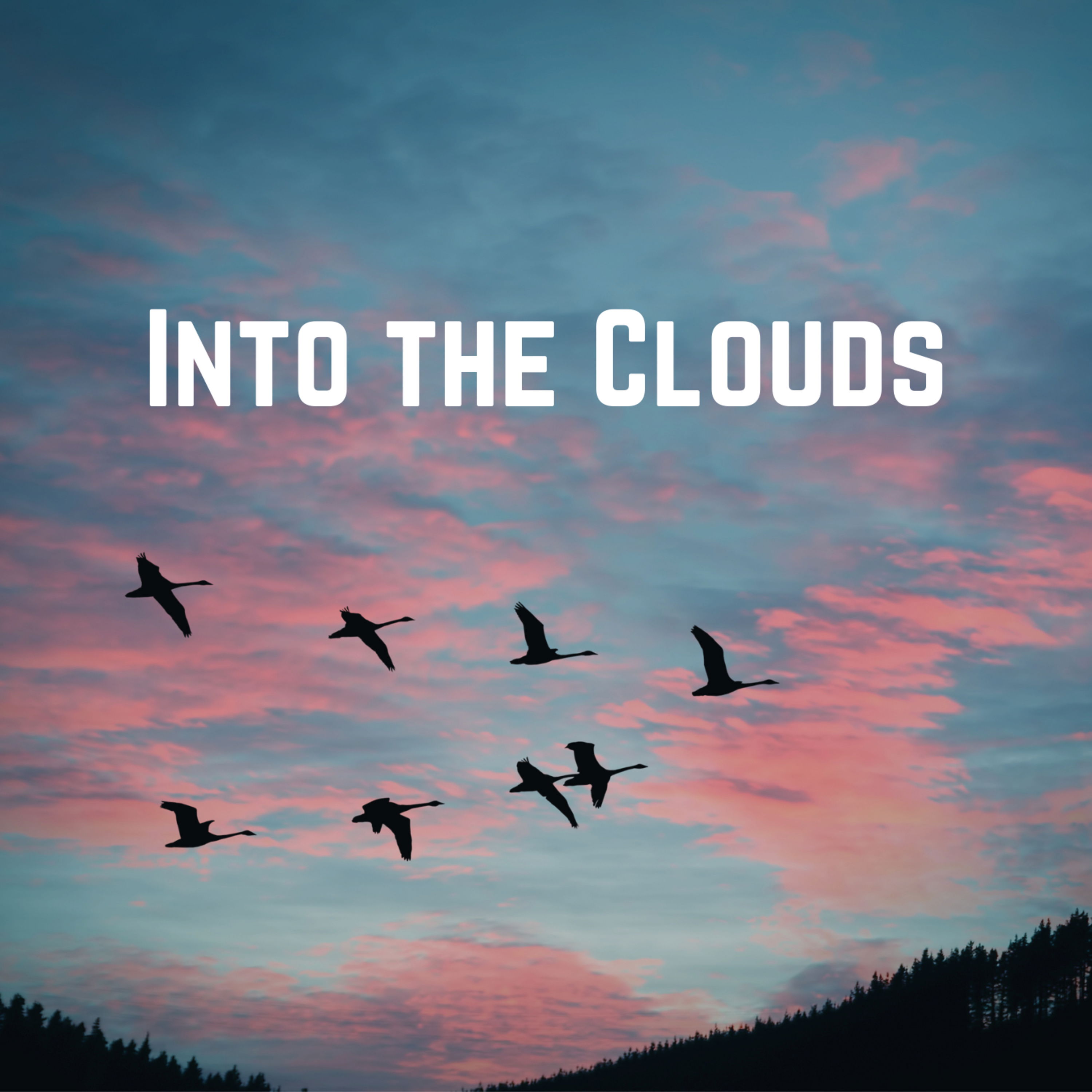 cover of episode Into the Clouds: Piano Music for Sleep