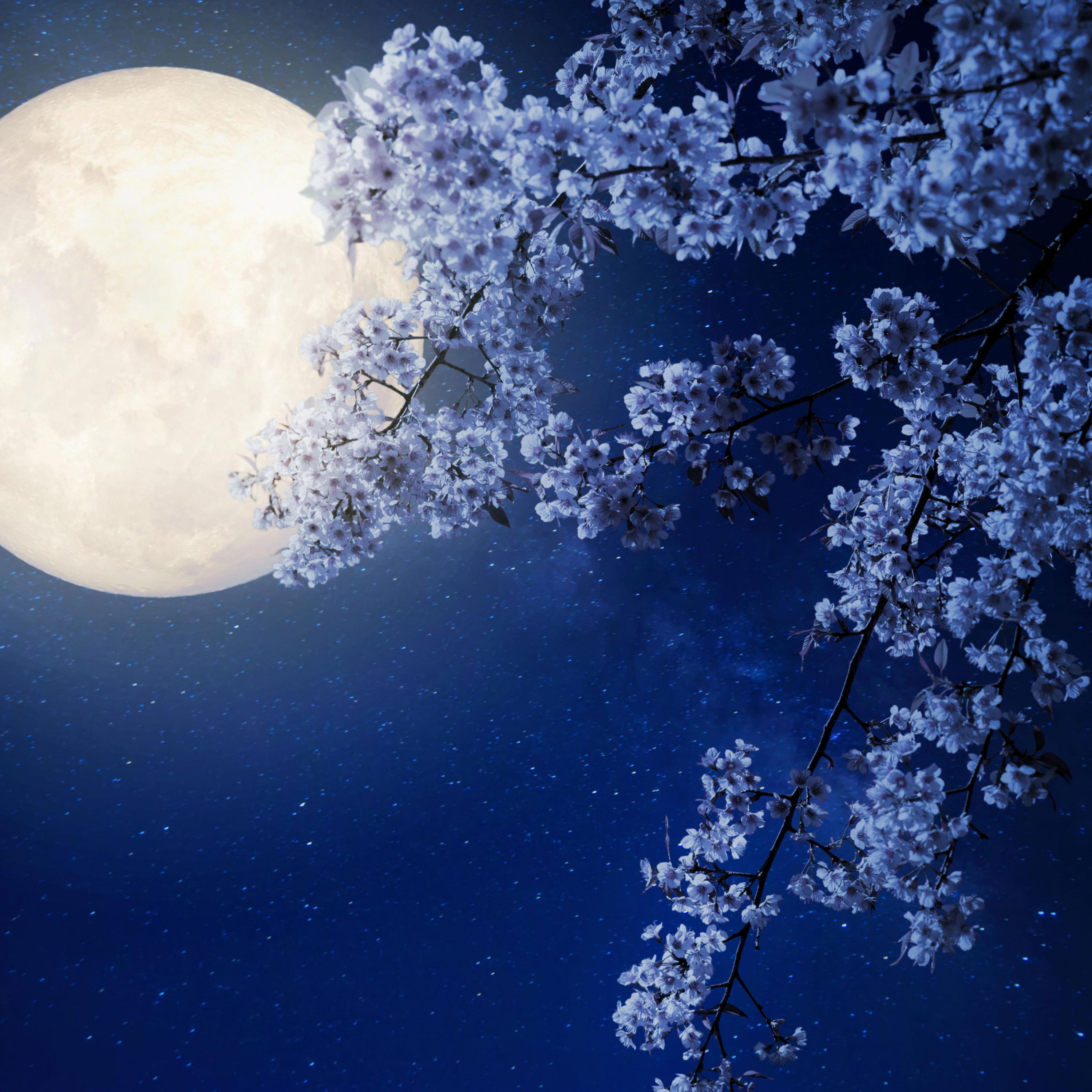 cover of episode Deep Sleep Tones (Binaural Sleep Music)