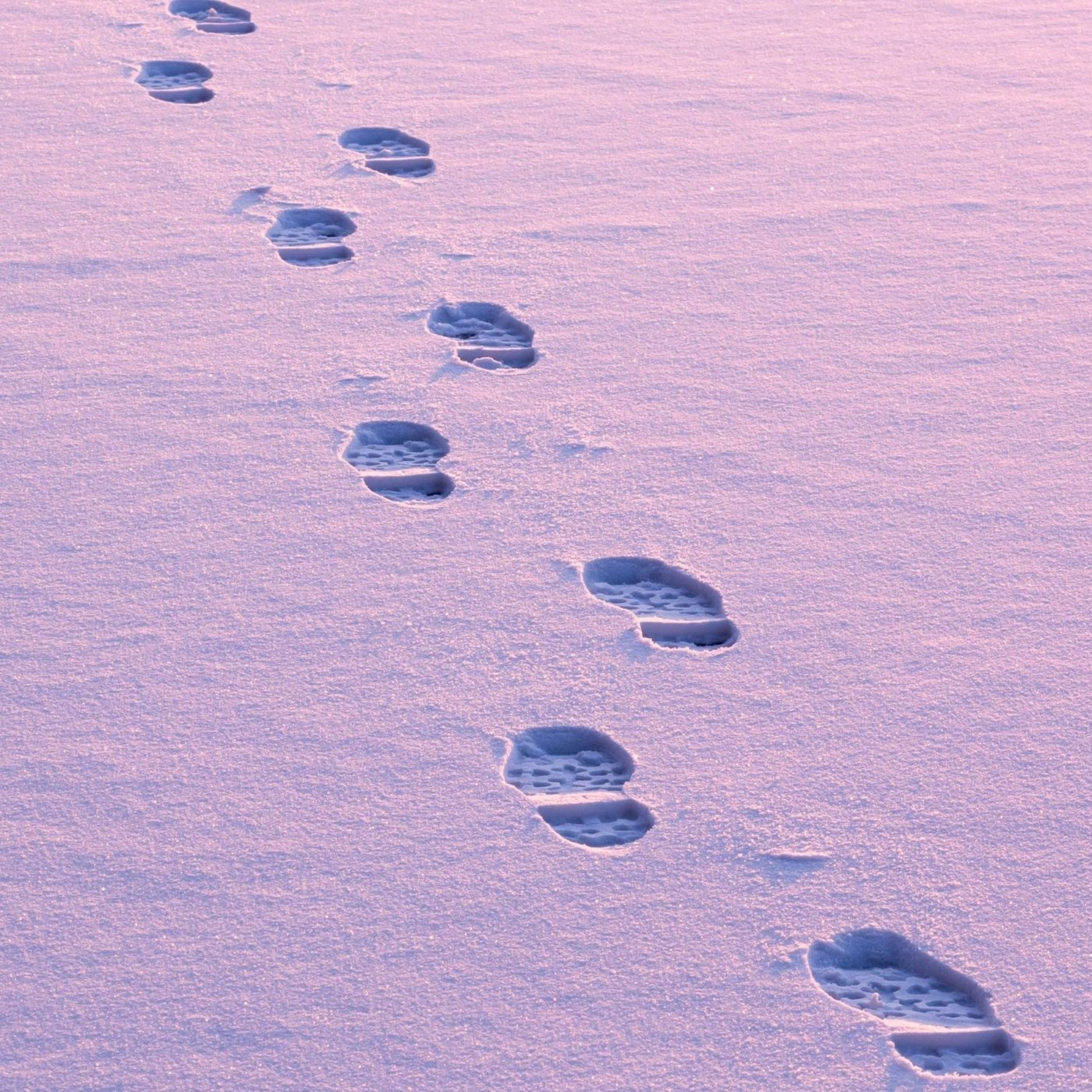 cover of episode Walking on Snow: ASMR Sound