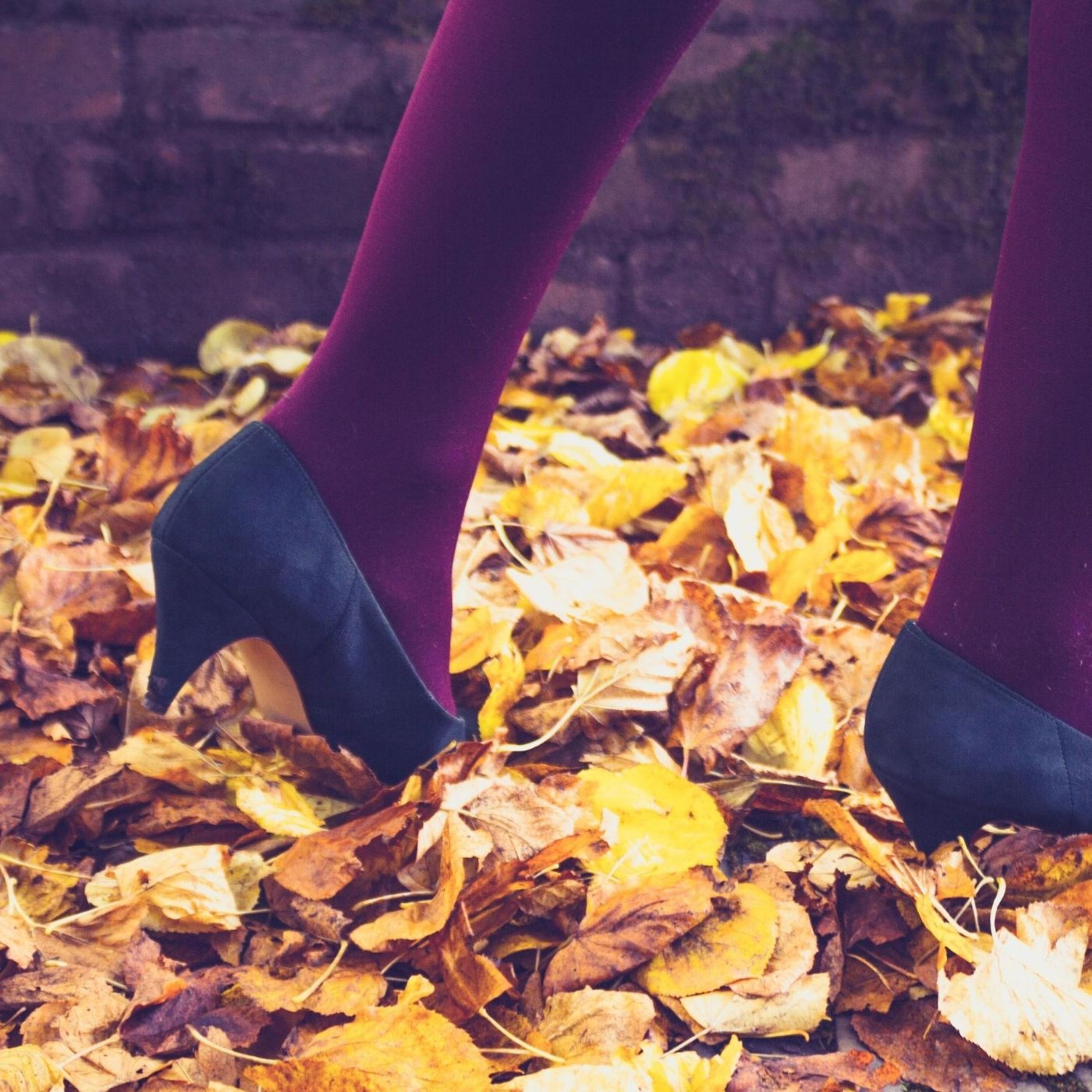 cover of episode Walking on Leaves: ASMR Sounds
