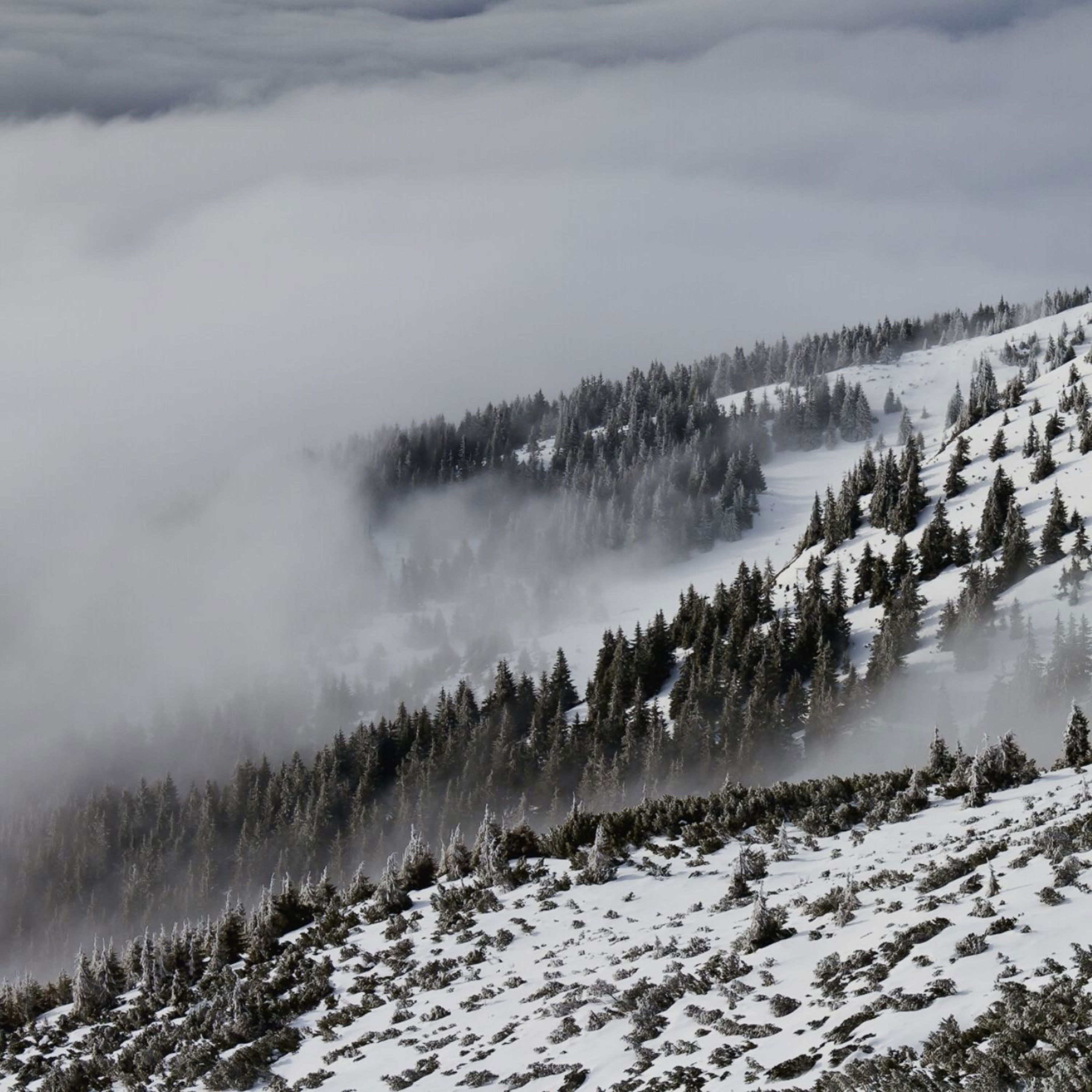 cover of episode Winter Wind Sound for Sleep