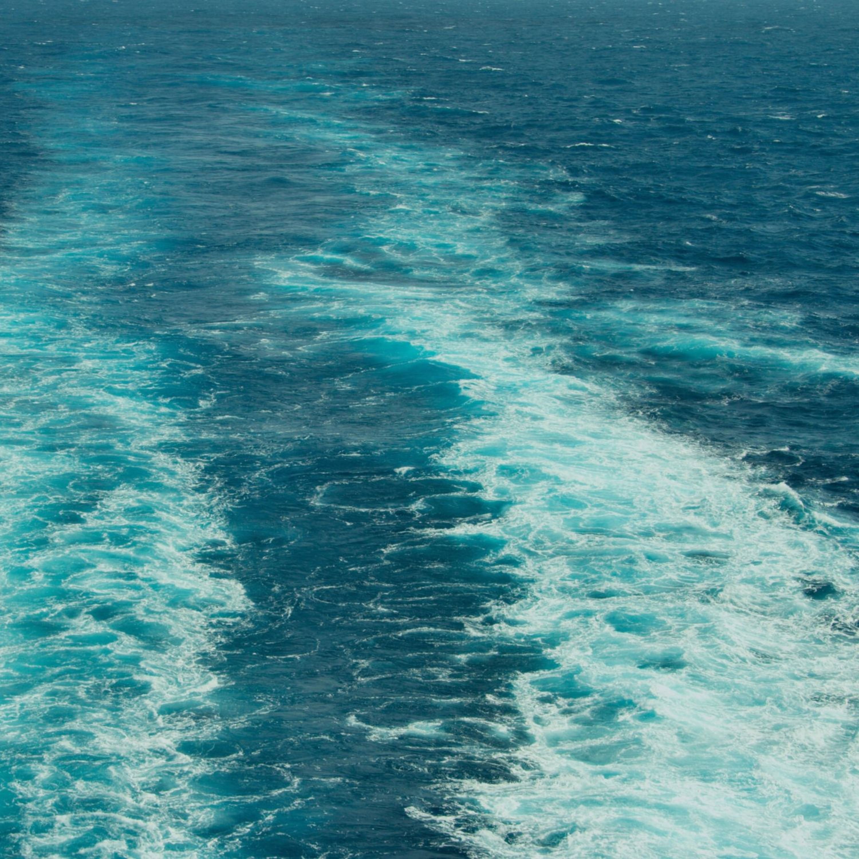 cover of episode Ocean Ferry Sound: White Noise and Relaxing Waves