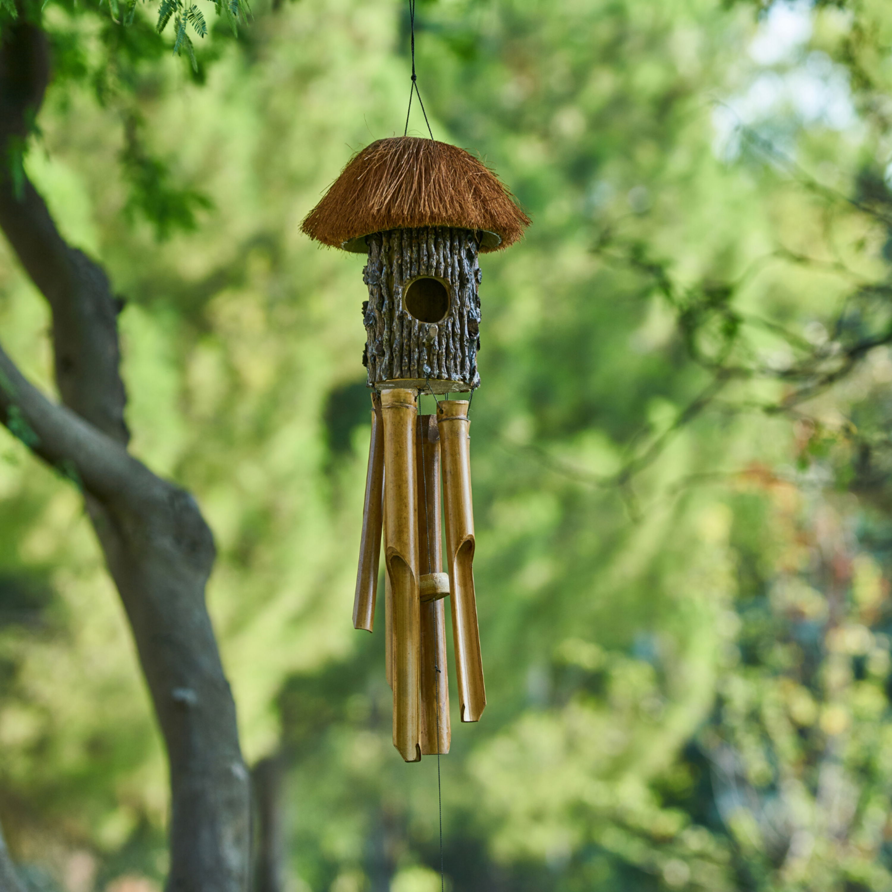 cover of episode Calming Birds and Chimes Sound for Meditation