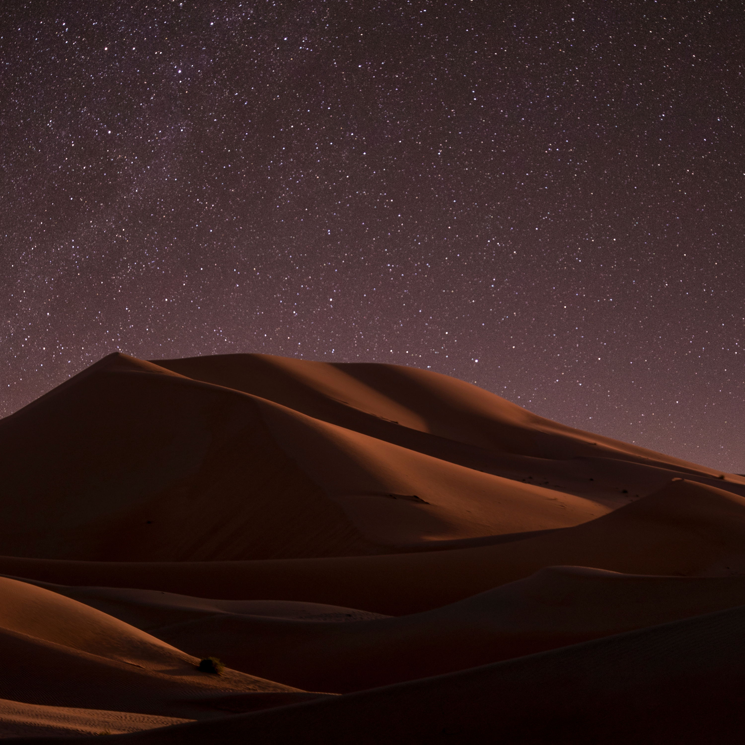 cover of episode Fast Asleep in the Desert: Relaxing Soundscape