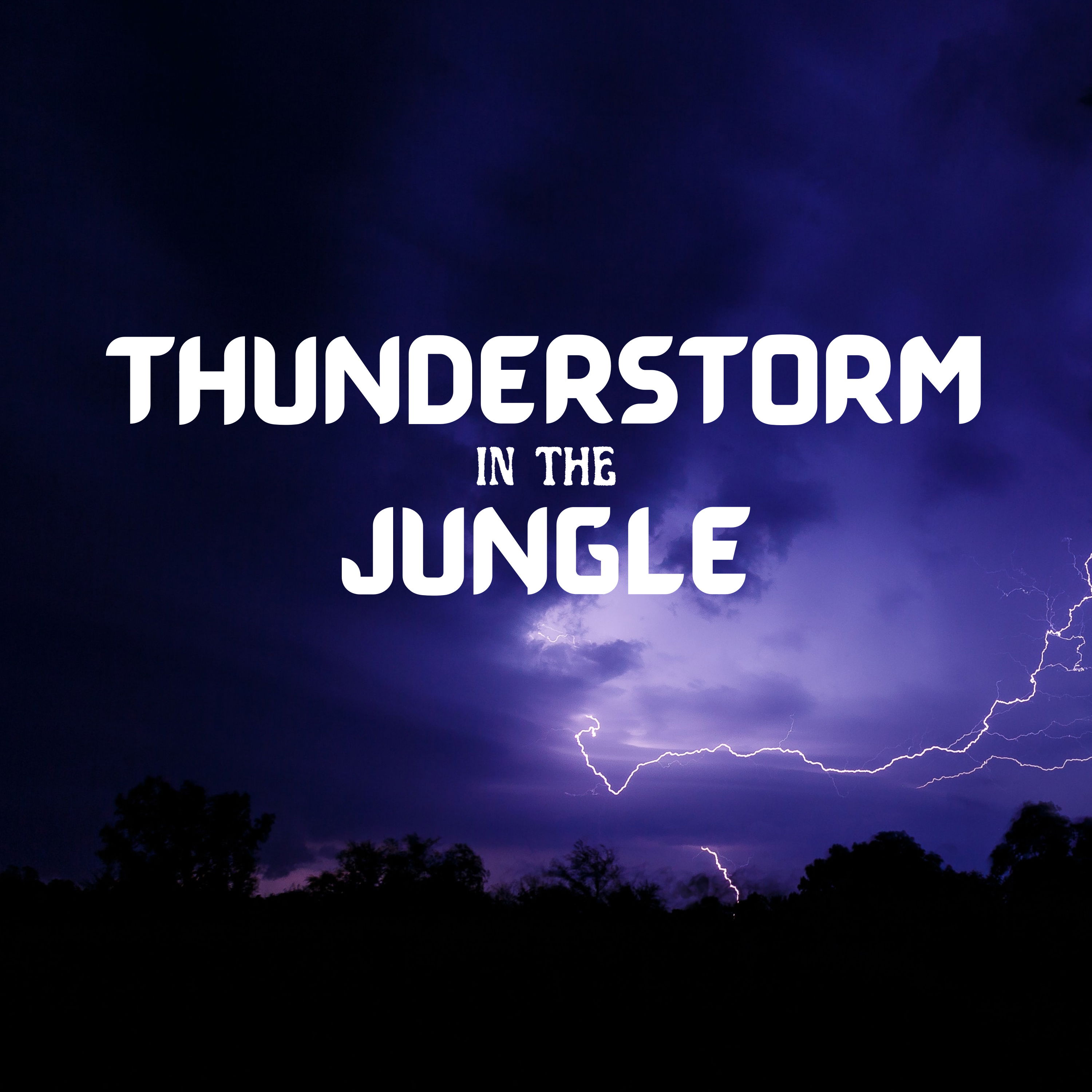 cover of episode Thunderstorm in the Jungle