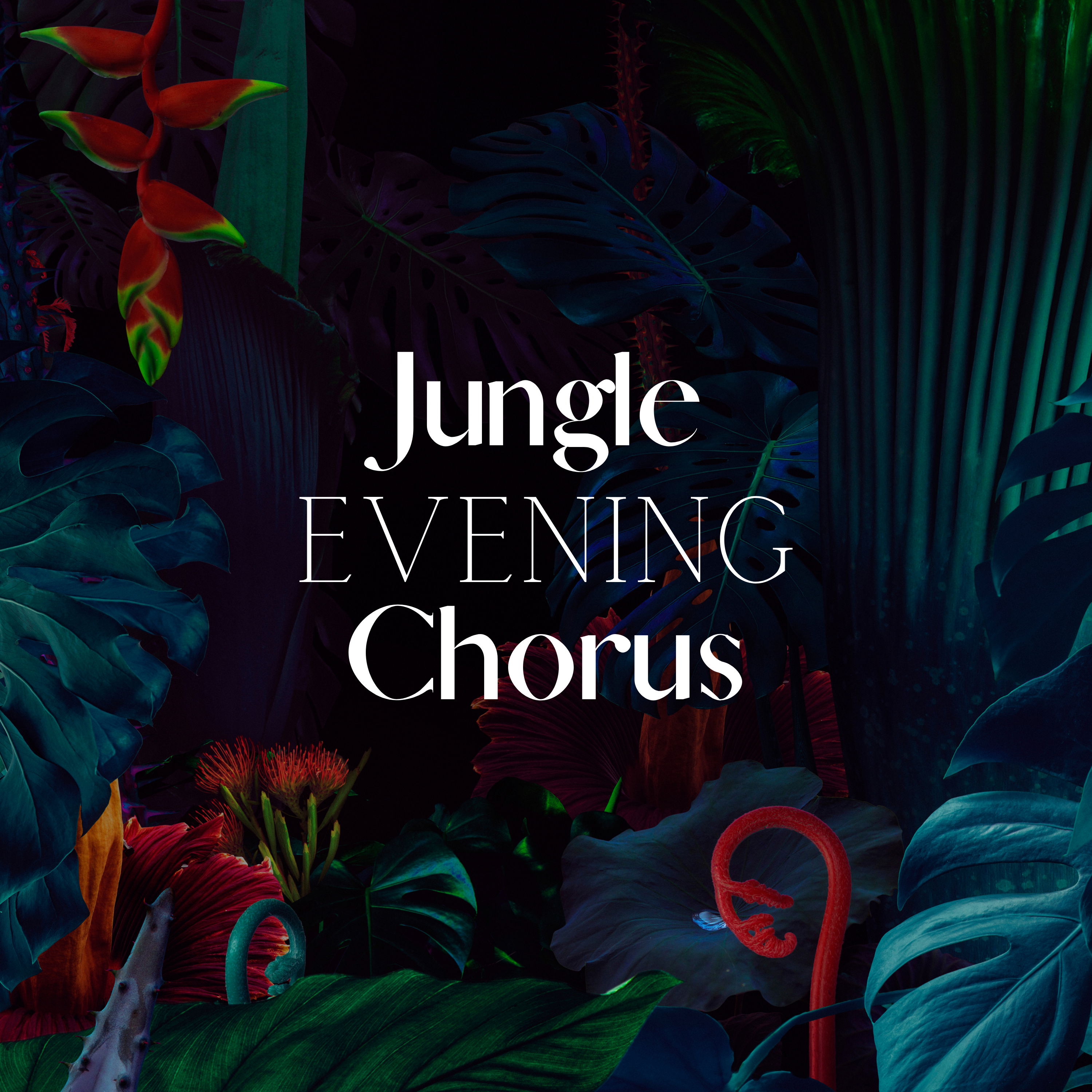 cover of episode Jungle Evening Chorus: Nature Sounds for Sleep